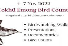 Nagland: Birders in Nagaland are getting ready for Tokhü Emong Bird Count