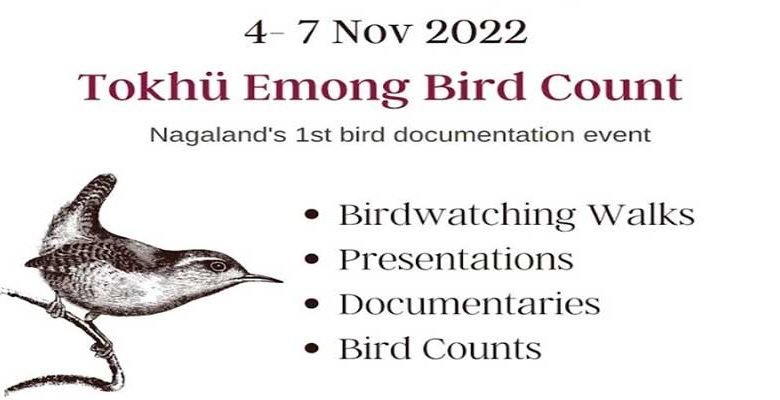 Nagland: Birders in Nagaland are getting ready for Tokhü Emong Bird Count