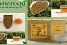 Assam: Manohari Gold Tea creates history, sold at Rs 1,15,000 Per Kg.