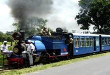 Assam: NF Railway to operate joy ride toy train services during Christmas