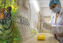 Assam: Wildlife Genetics Laboratory of Aarnayak extendes forensic DNA analysis support to Raimona National Park