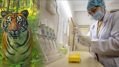 Assam: Wildlife Genetics Laboratory of Aarnayak extendes forensic DNA analysis support to Raimona National Park