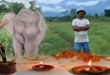 Assam: Aaranyak loses dedicated conservationist Bipul Das in road accident