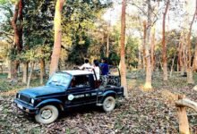 Assam: Probe against Govt officers for creating ruckus at Pobitora Sanctuary