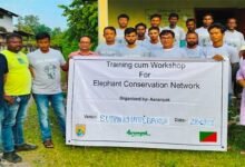 Assam: Elephant Conservation Networks help coexistence with elephants in Assam’s HEC areas