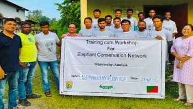 Assam: Elephant Conservation Networks help coexistence with elephants in Assam’s HEC areas
