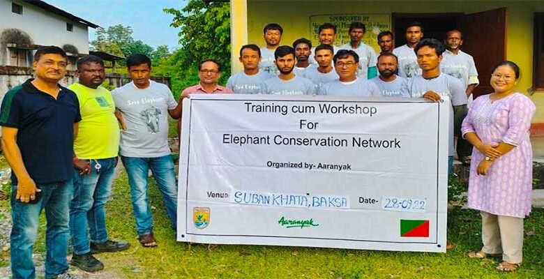 Assam: Elephant Conservation Networks help coexistence with elephants in Assam’s HEC areas