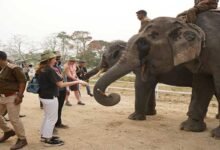 Assam: G20 Delegates Visit Kaziranga National Park