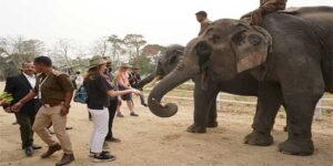 Assam: G20 Delegates Visit Kaziranga National Park