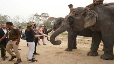 Assam: G20 Delegates Visit Kaziranga National Park