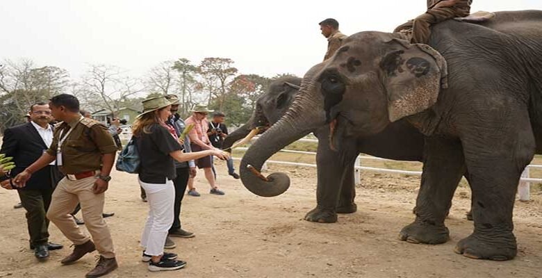 Assam: G20 Delegates Visit Kaziranga National Park
