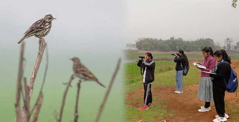 Assam: Doloni Beel bird survey records 47 wetland species