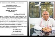 Assam: PCCF MK Yadav removed as Chief Wildlife Warden