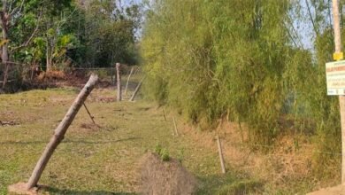Assam received another solar fence to combat human elephant conflict
