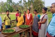 Aaranyak organises training on handmade tea for Karbi women