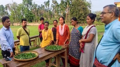 Aaranyak organises training on handmade tea for Karbi women