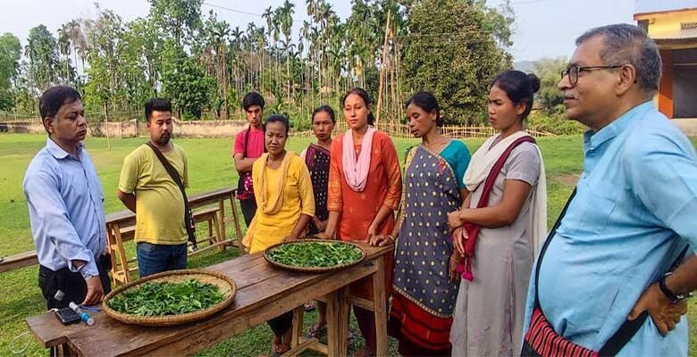 Aaranyak organises training on handmade tea for Karbi women
