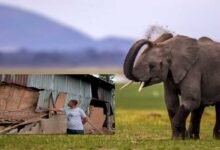 Assam: ECN for the community by the community to help HEC mitigation