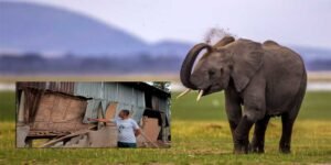 Assam: ECN for the community by the community to help HEC mitigation