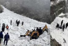 Sikkim: Major avalanche hits Nathula, 6 tourists dead, several missing- official