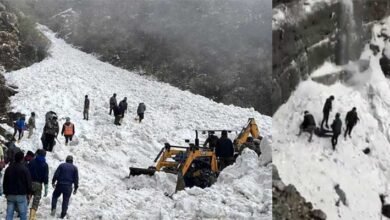 Sikkim: Major avalanche hits Nathula, 6 tourists dead, several missing- official