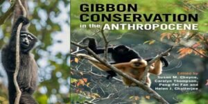 Assam: University of Cambridge book unveils Northeast India's Gibbon conservation scenario
