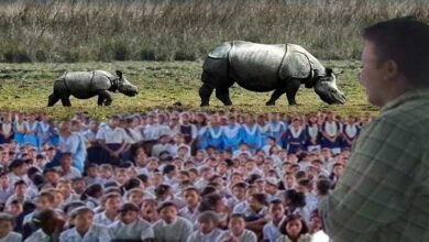 Rhino Goes to School, a Rhino awareness programme held in Assam's Kaziranga