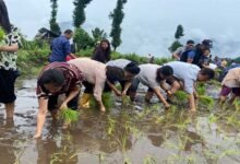 Sikkim celebrates Asar Pandra festival with fervor
