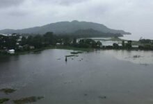 Assam Flood: Nearly 21,000 Affected, 19 villages inundated