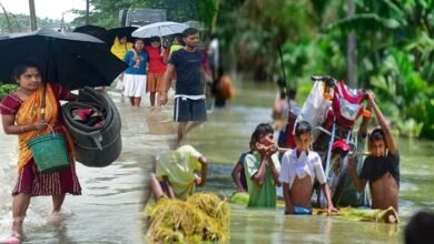 Assam Floods: 5 lakh people affected, 1 dead in Tamulpur
