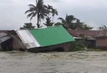 Assam Flood: 29,000 People, 25 Villages Affected