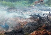 Meghalaya: 7 injured in lightning strike in Umsohlait Village of Ri Bhoi dist