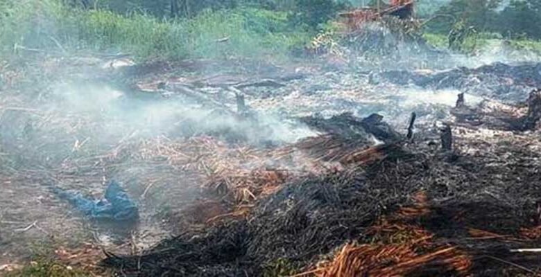 Meghalaya: 7 injured in lightning strike in Umsohlait Village of Ri Bhoi dist