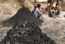 Meghalaya: Two more die due to illegal coal mining, petitioner tells HC