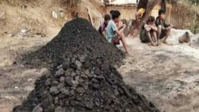 Meghalaya: Two more die due to illegal coal mining, petitioner tells HC