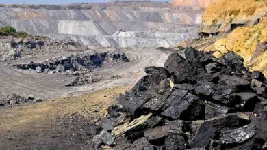 Meghalaya HC Instructed State Govt to Take Assam Police’s help to nab ‘kingpins’ of illegal coal mining