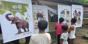 Assam: 'Gajah Kotha' campaign engages over 1,200 people to mitigate human-elephant conflict