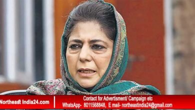 Mehbooba Mufti urges judiciary action against Assam CM's remarks on Muslims