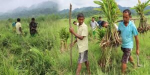 Assam: Aaranyak takes up elephants’ habitat improvement under Rowta RF to mitigate HEC