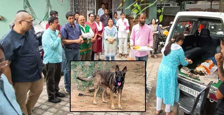 Assam: Aaranyak loses K9 squad’s prized possession Sheela