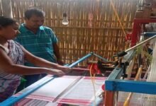 Assam: Women from human-elephant conflict affected villages trained in handloom techniques to supplement income
