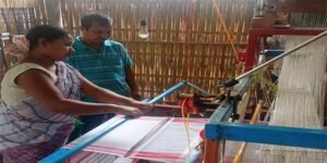 Assam: Women from human-elephant conflict affected villages trained in handloom techniques to supplement income