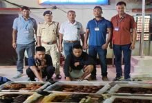 Assam: RPF recovered endangered turtles from Lumding station