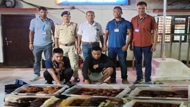 Assam: RPF recovered endangered turtles from Lumding station
