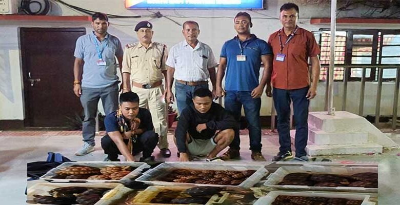 Assam: RPF recovered endangered turtles from Lumding station