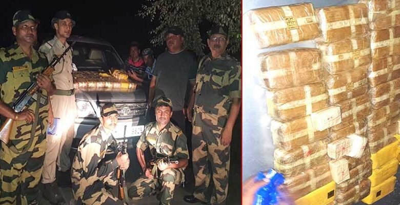 Assam: BSF and Cachar Police seize drugs worth Rs 26 Cr in Silchar