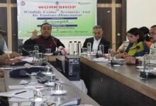 Assam: Judge flags fine points in investigation into wildlife crime to ensure better conviction