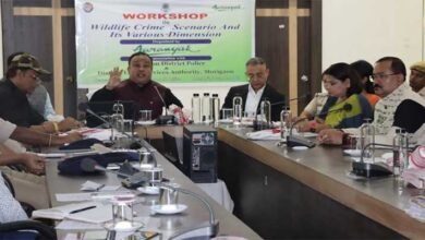 Assam: Judge flags fine points in investigation into wildlife crime to ensure better conviction