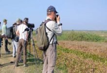 Assam: Aaranyak-British Asian Trust event flags importance of Panidihing Bird Sanctuary