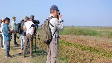 Assam: Aaranyak-British Asian Trust event flags importance of Panidihing Bird Sanctuary